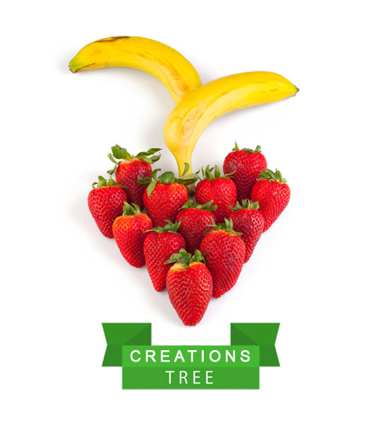 Connection Tree Web Design Re:fresa